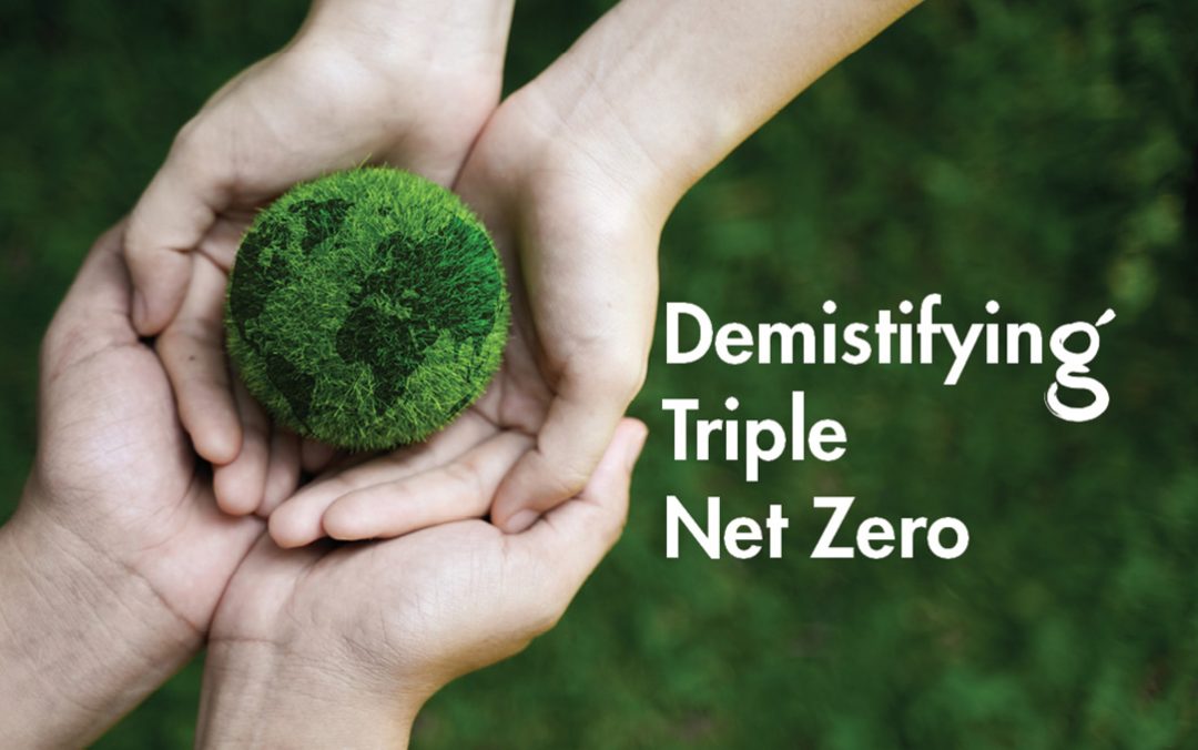 Demystifying Triple Net Zero