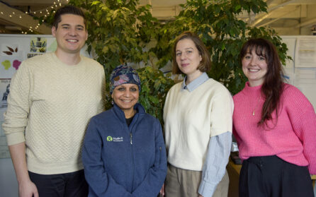 Promotions And New Hires Group